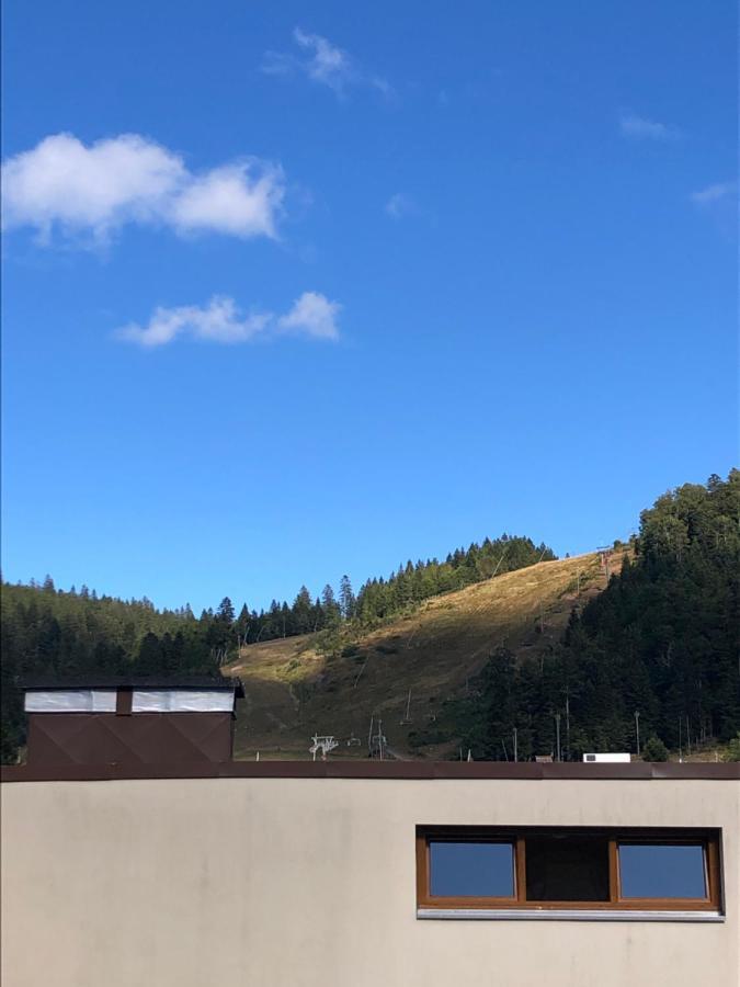 Studio La Bresse Chez Sandra Dış mekan fotoğraf